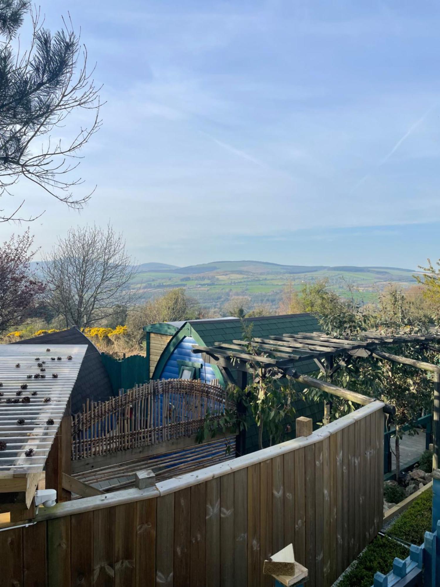 Hotel Glamping In The 2Nd Field Aughrim Exterior foto
